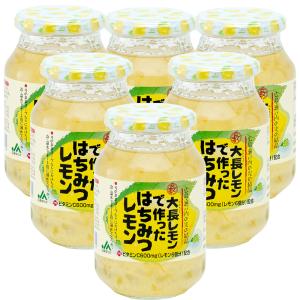 山田養蜂場 レモンはちみつ漬 450g×5 レモン レモネード レモン