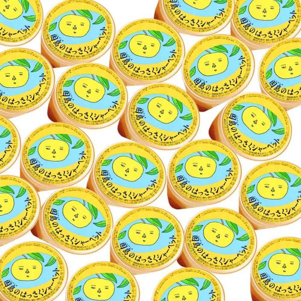 広島銘菓 因島の はっさくシャーベット ７５ｇ ２４個セット 送料込み  銀座tau 広島県産 八朔...