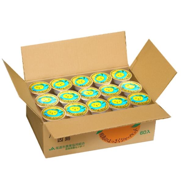 広島銘菓 因島の はっさくシャーベット ７５ｇ ６０個セット  送料込み  銀座tau 広島県産 八...
