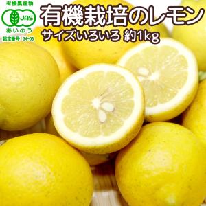 広島産 レモン 大長 有機栽培のレモン 約１kg サイズいろいろ 皮まで食べられます 送料無料 国産レモン 有機JAS認定 広島県大崎下島 下田農園 オーガニック