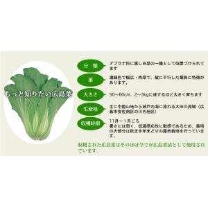 広島菜漬け 安藝紫(あきむらさき) 竹皮 11...の詳細画像4