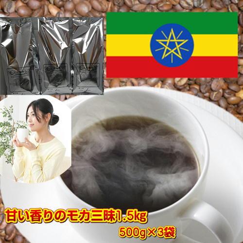珈琲 コーヒー  送料無料 コーヒー豆 上品な酸味と甘く芳醇な香り「モカ・シダモ」コーヒー豆大盛1....