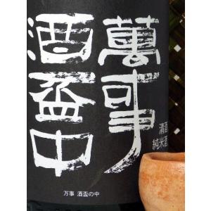 信州亀齢「美山錦純米大吟醸39」720ml（箱入り・クール便配送