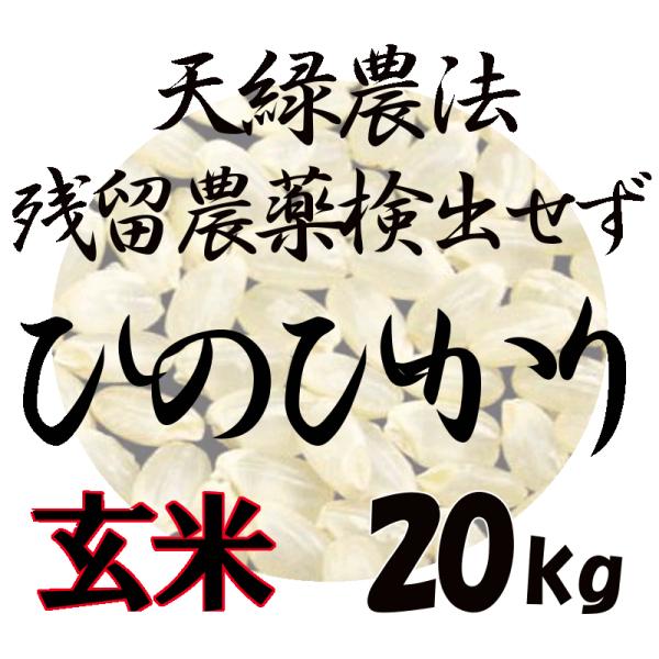 新米入荷！【送料無料（一部地域除く）】 藍藻育ち 天緑農法 藍の舞 ひのひかり 20kg（5kg×4...