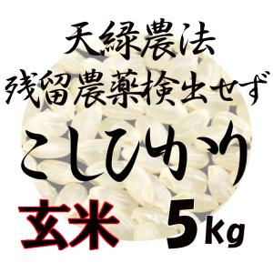 藍藻育ち 天緑農法 こしひかり 5kg 高LPS...の商品画像