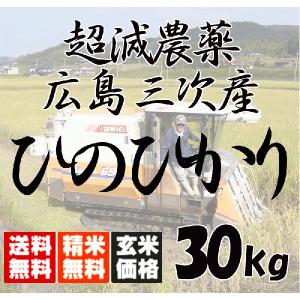 新米 平成29年産 送料無料 広島三次産 超減農薬 ひのひか...