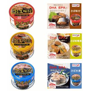 キョクヨー 【新発売】 極洋 缶詰 イワシ缶 いわし 缶詰 味噌煮 いわし