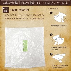 ヌードクッション 2個セット 正方形 60×6...の詳細画像5
