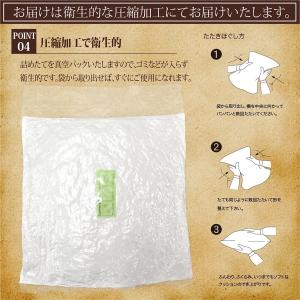 ヌードクッション 2個セット 正方形 45×4...の詳細画像5