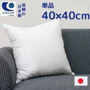 ほこりの出にくい ヌードクッション 40×40cm 正方形
