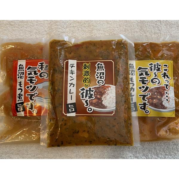 魚沼レトルト３点セット