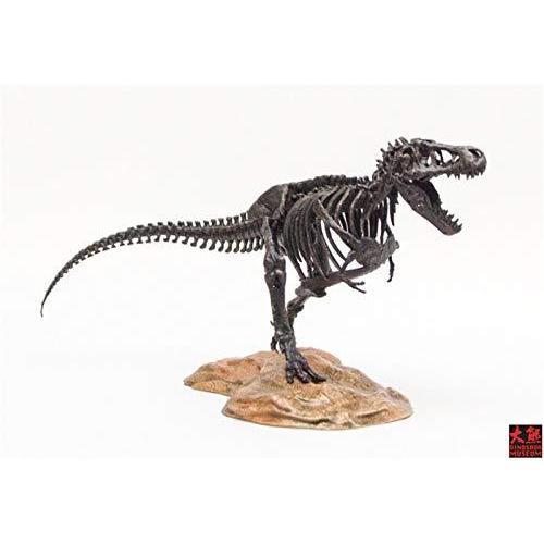 短納期 1/72 ティラノサウルス Tレックス T-REX 恐竜 骨格 リアル フィギュア PVC ...