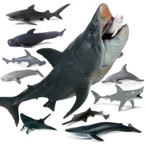 短納期 メガロドン ホホジロザメ サメ 海洋動物 魚類 動物セット 11PCS プラモデル 模型 誕生日 プレゼント 贈り物 リアル フィギュア おもちゃ インテリア｜hirosyou