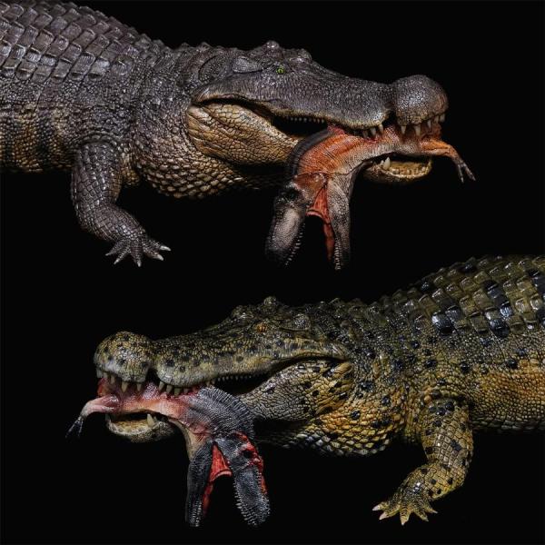 短納期 REBOR 1/35 サイズ ワニ アパラチオサウルス 獣脚類 恐竜 動物 フィギュア 模型...