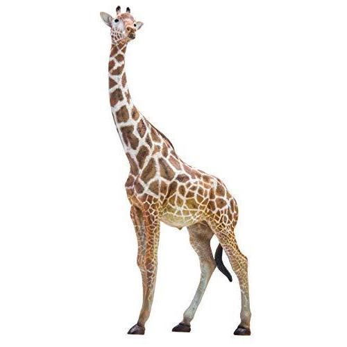 短納期 PNSO 動物園 成長シリーズ キリン Giraffa camelopardalis 野生動...
