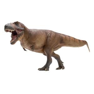 PNSO 恐竜博物館 1/35 サイズ ティラノサウルス T-REX フィギュア キャメロン 35cm 頭蓋骨付属 口開閉可能 塗装済 肉食 恐竜 リアル 科学 芸術 模型 プレゼント｜hirosyou