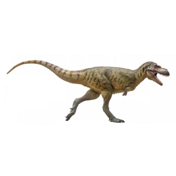 短納期 PNSO 成長シリーズ72 アルバートサウルス フィギュア アルバータのトカゲ ティラノサウ...