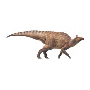 短納期 PNSO エドモントサウルス 成長シリーズ80 草食 エドモントンのトカゲ 鳥脚類 32.5cm 恐竜 リアル 科学 芸術 模型 恐竜好き プレゼント｜hirosyou