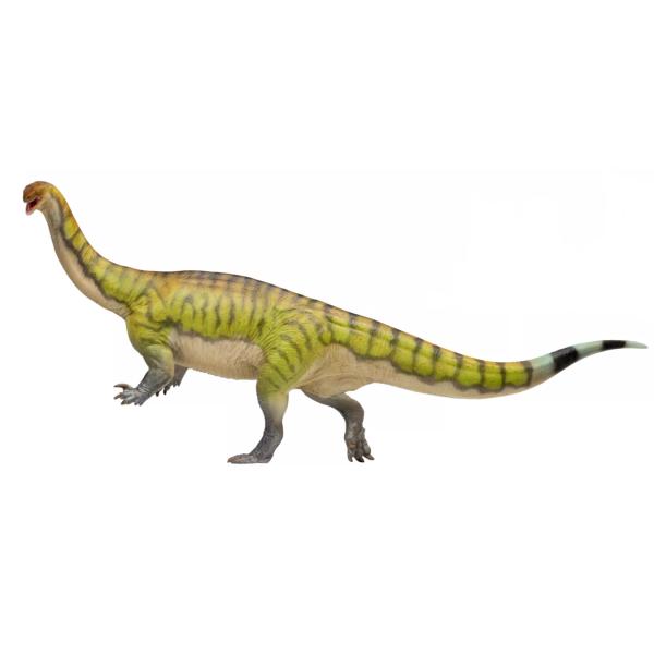 短納期 PNSO ルーフェンゴサウルス 成長シリーズ81 禄豊竜 古竜脚類 25cm 恐竜 前期ジュ...