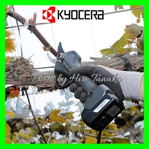 京セラ KYOCERA 充電式剪定ばさみ DS...の詳細画像1