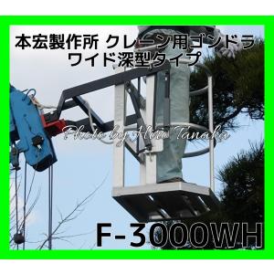 本宏製作所 アルミ製クレーン用ゴンドラ F-3000WH (ワイド深型タイプ 