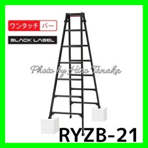 はしご兼用脚立 KW-210 ピカコーポレイション 脚立 アルミ 幅広（店舗 