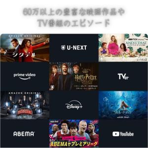 ファイヤー スティック 4K Fire TV ...の詳細画像3