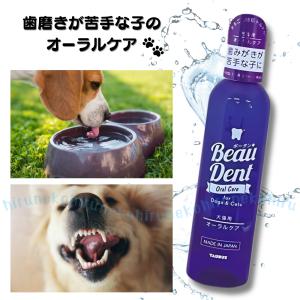 ボーダン 240ml トーラス 口臭ケア 液体歯磨き はみがき オーラルケア 簡単 歯石 犬 猫｜ひるねこ