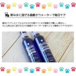 ボーダン 240ml トーラス 口臭ケア 液体...の詳細画像4