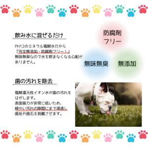 ボーダン 240ml トーラス 口臭ケア 液体...の詳細画像5