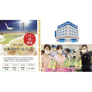 訳あり とうもろこし 20本 直売店では1時間...の詳細画像3