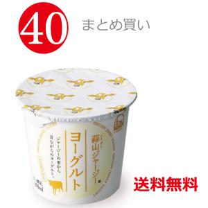 ひるぜん ジャージー 40個 ご当地 ヨーグルトグランプリ金賞 おいしい きなこ 便秘 解消 岡山 蒜山