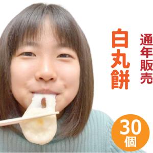 餅 年中 通年 販売 冷凍 丸もち 30個 もち 餅 杵つき ひめのもち ※12/26〜翌年1/5日までのご注文は1月６日から発送 岡山 ひるぜん農園   送料無料