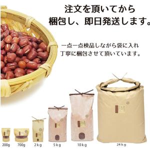 令和6年 小豆 紅大納言 200g 農薬・肥料...の詳細画像4