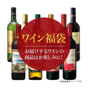 ヨーロッパ お土産 ボルドー金賞受賞ワインも入ったヨーロッパ厳選ワイン10本福袋 　おみやげ ギフト HIS　ID:94647001