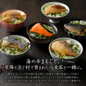 お中元 ギフト お茶漬け 4食 海鮮茶漬け 高...の詳細画像2