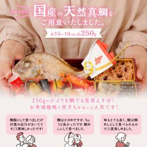 お食い初め セット (小) 食器 お食い初め膳...の詳細画像4