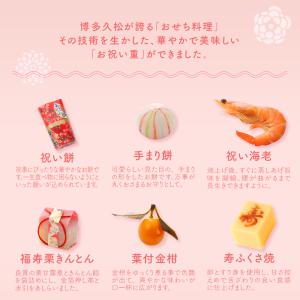 お食い初め お祝い重(お食い初め用)単品 4個...の詳細画像4