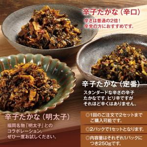 漬物 辛子高菜 500g (250g×2袋) ...の詳細画像2