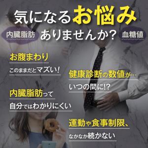 Hisamitsu メタサポ 120粒の詳細画像3