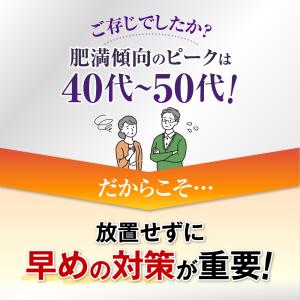 Hisamitsu メタサポ 120粒の詳細画像4
