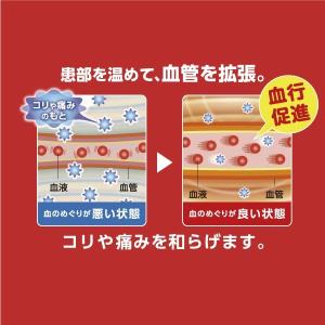 温熱用具 直貼 Sサイズ (肩・首用)12枚入...の詳細画像5