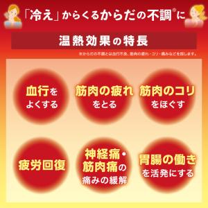 直貼温感プラス Sサイズ 6枚入x3個 血行促...の詳細画像3