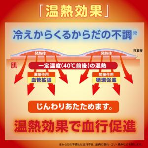 直貼温感プラス Sサイズ 6枚入x3個 血行促...の詳細画像4