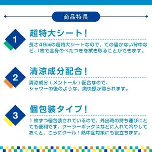 運動後のクールダウンに リフレッシュボディシー...の詳細画像2