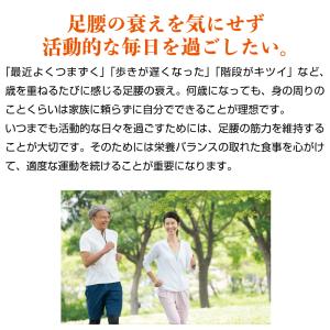 Hisamitsu 歩かんと 90粒×3袋 ブ...の詳細画像2