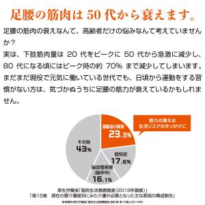 Hisamitsu 歩かんと 90粒×3袋 ブ...の詳細画像3