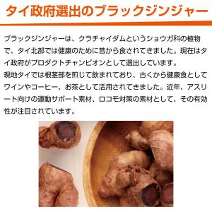 Hisamitsu 歩かんと 90粒×3袋 ブ...の詳細画像5