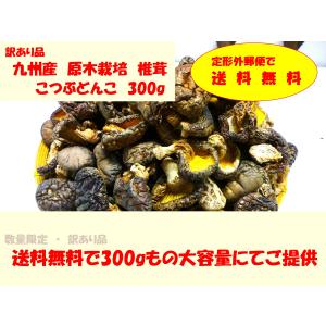 定形外郵便で！☆数量限定・ポイント消化・訳あり品/九州産原木椎茸・こつぶどんこ椎茸　３００ｇ