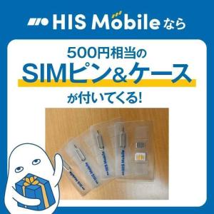 お得な2枚セット!【プリペイドSIM】ドコモ3...の詳細画像1